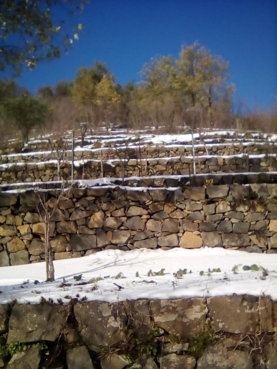 La Pietra Antica O' Munti Villa มาสคาลิ ภายนอก รูปภาพ